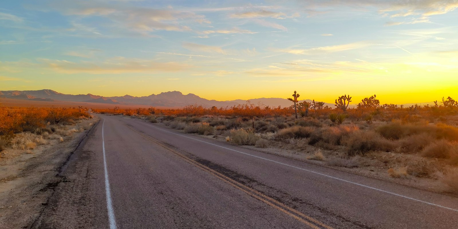 Empty desert highway at sunset, for a Pulse Report on Coyote vs. ACME