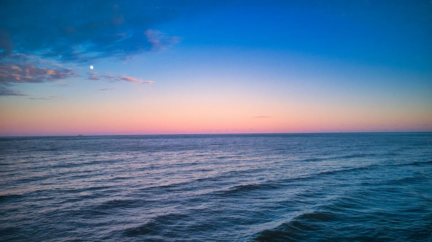 She Rowed 2,400 Miles Solo. 16.8K People Called It AI.