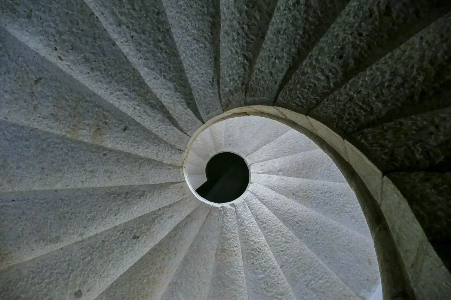 Silo Fans Sat Through the Slow Episodes, Then Fought About a Tree